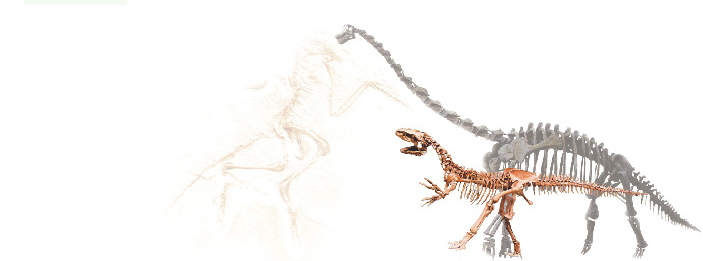 공룡 뼈 이미지